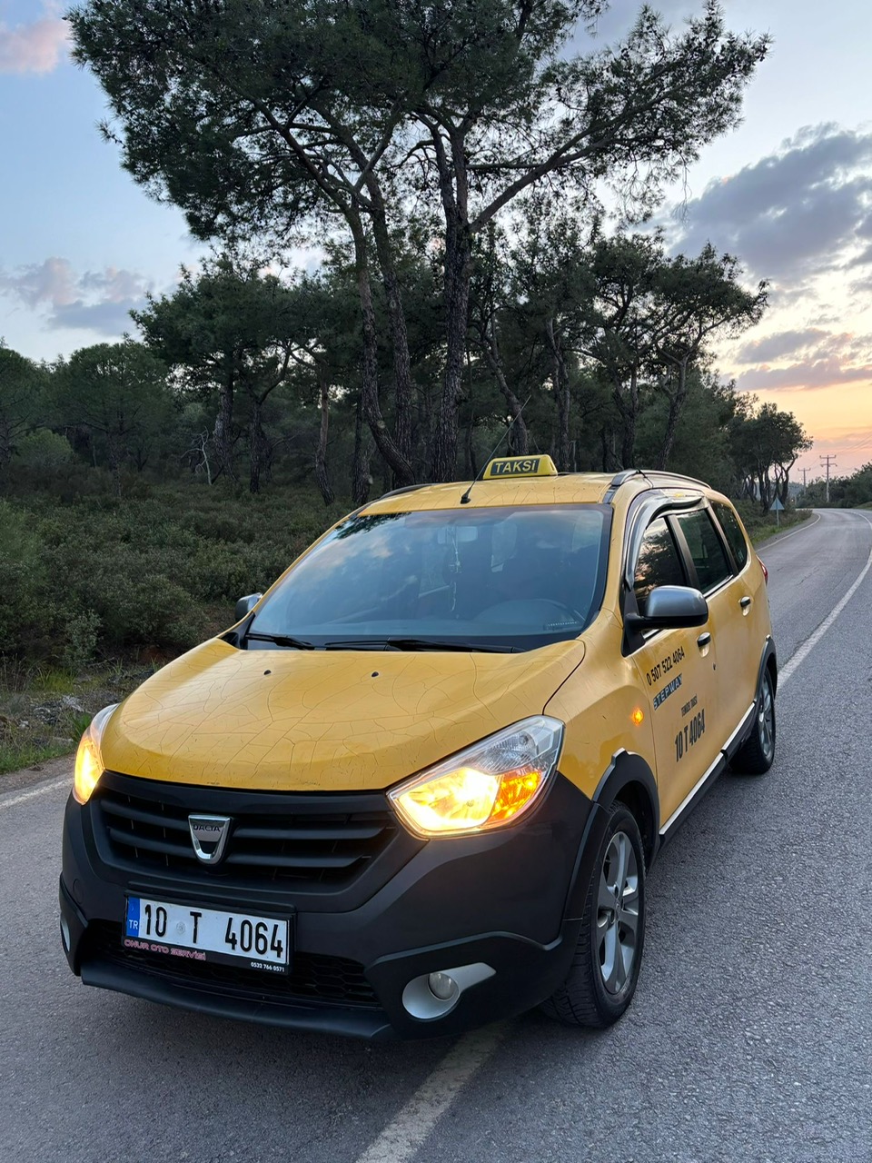 Sarımsaklı Taksi Orman Yolu